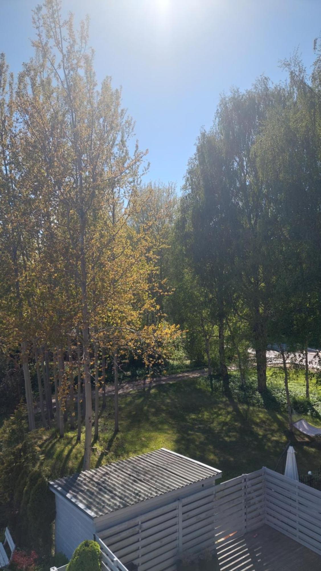 Pas Rasa Hotel Palanga Kültér fotó